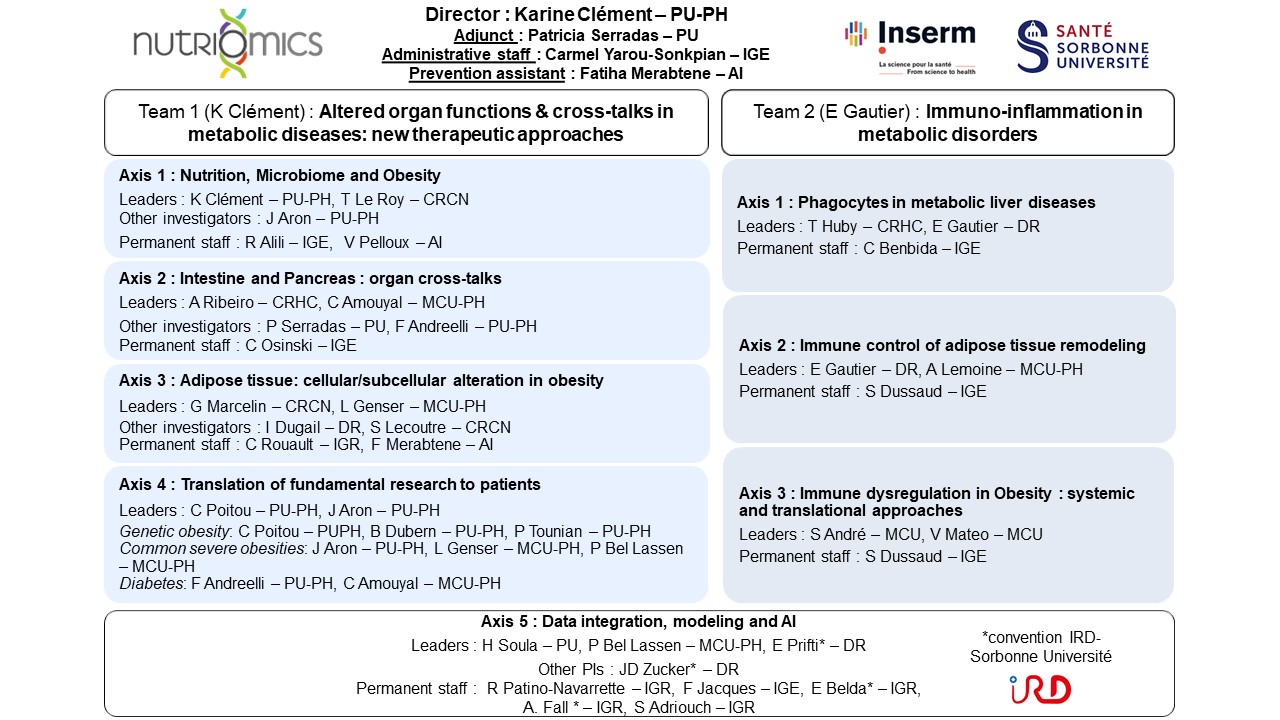 Preview of the organizational chart